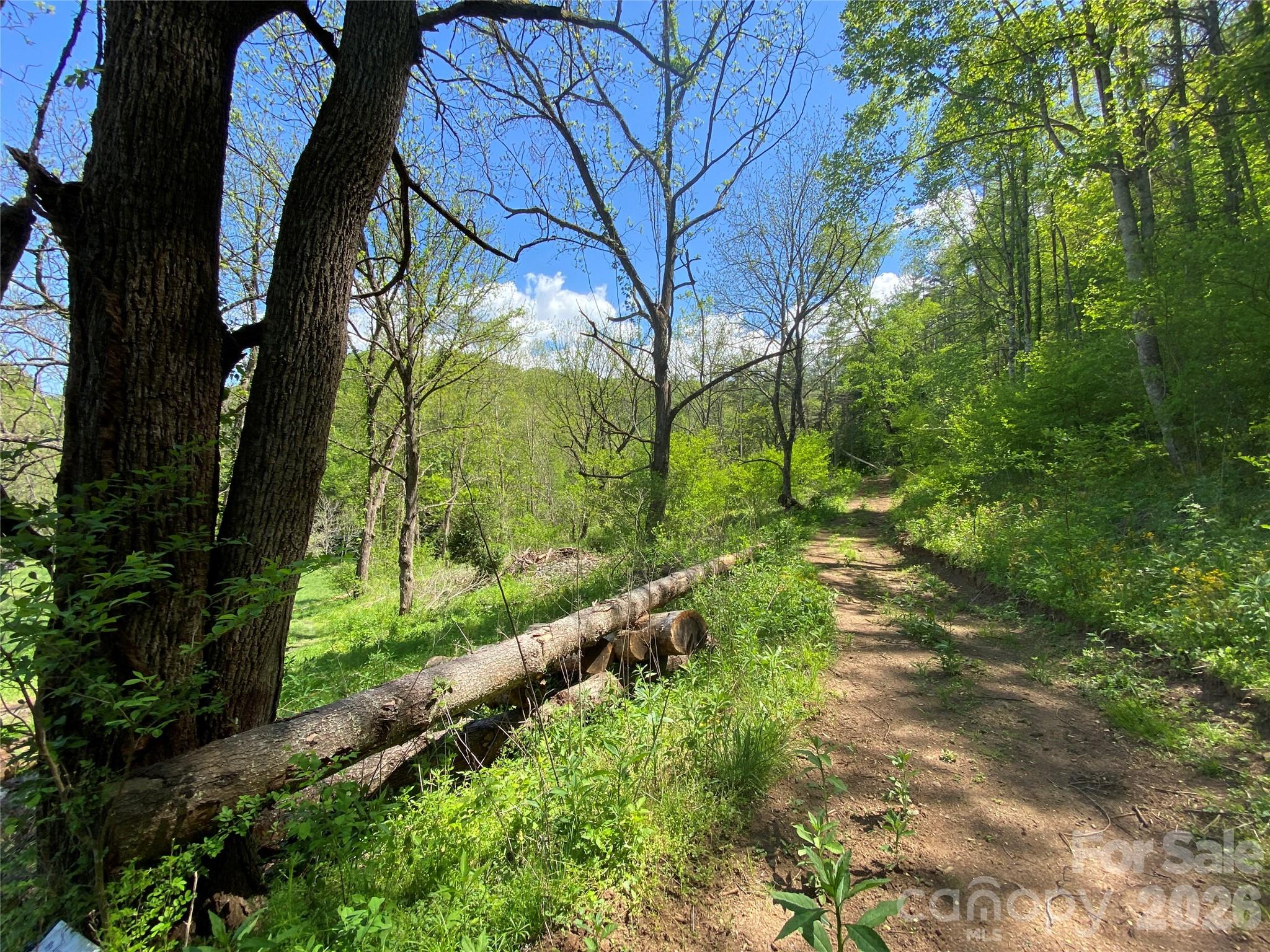 Tract 1 Hill Top Drive Burnsville NC 28714