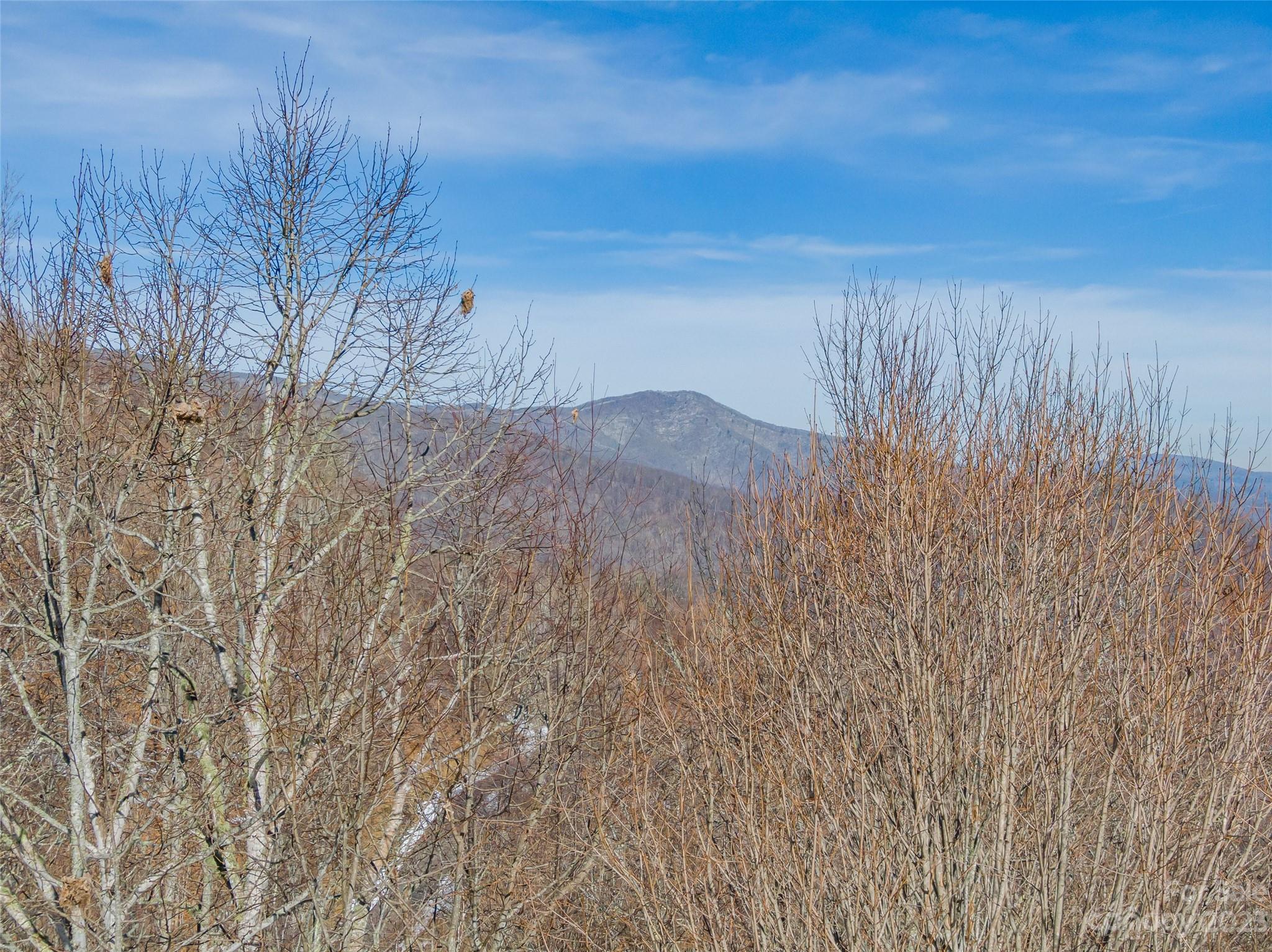 Lot 43 Black Bear Run Mars Hill NC 28754