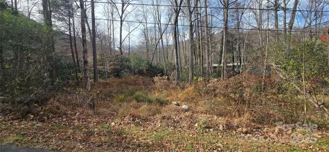 Lot 24 Twinbrook Lane Maggie Valley NC 28751