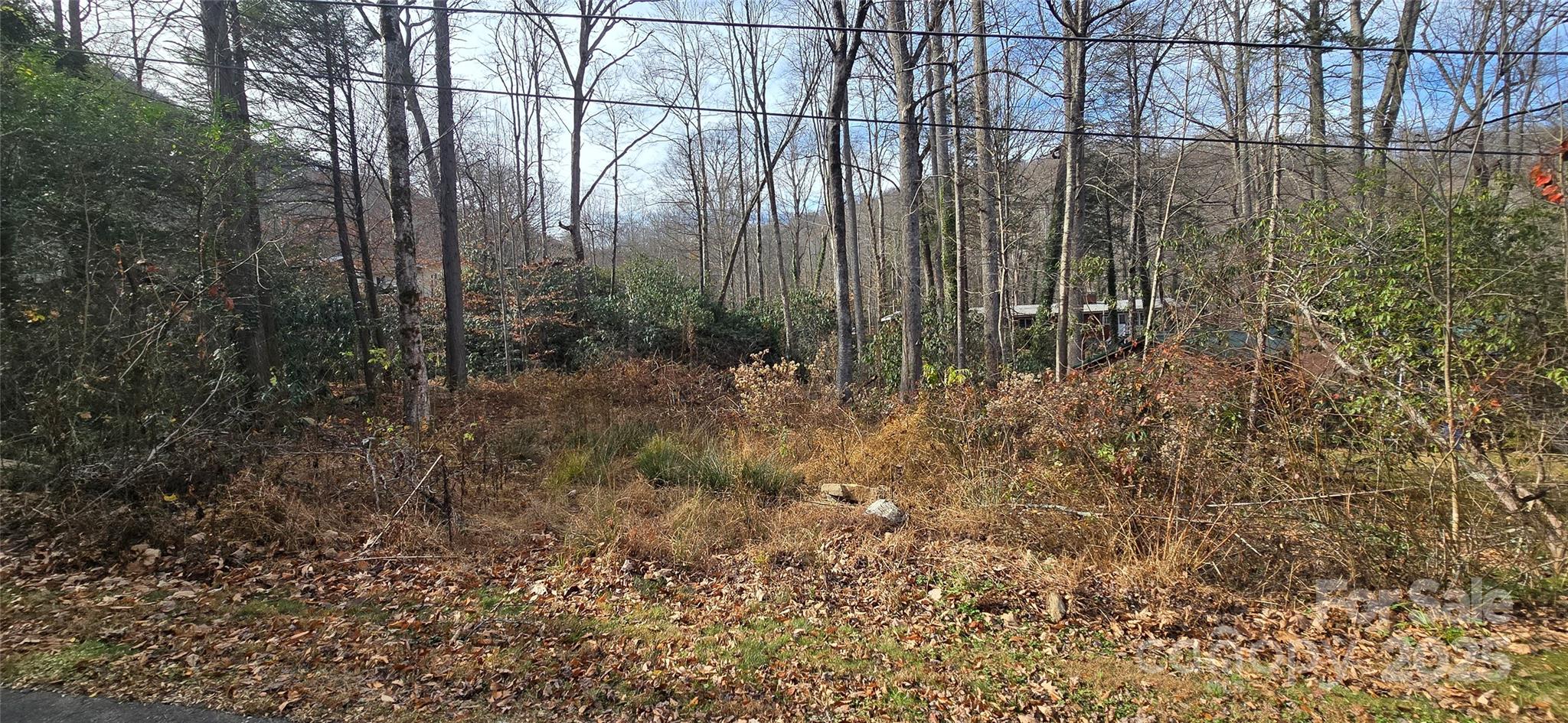 Lot 24 Twinbrook Lane Maggie Valley NC 28751