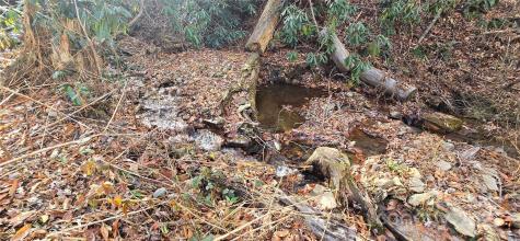 Lot 24 Twinbrook Lane Maggie Valley NC 28751