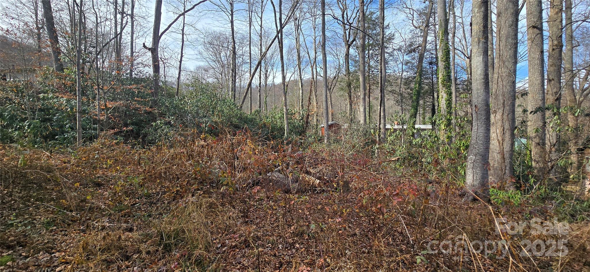 Lot 24 Twinbrook Lane Maggie Valley NC 28751