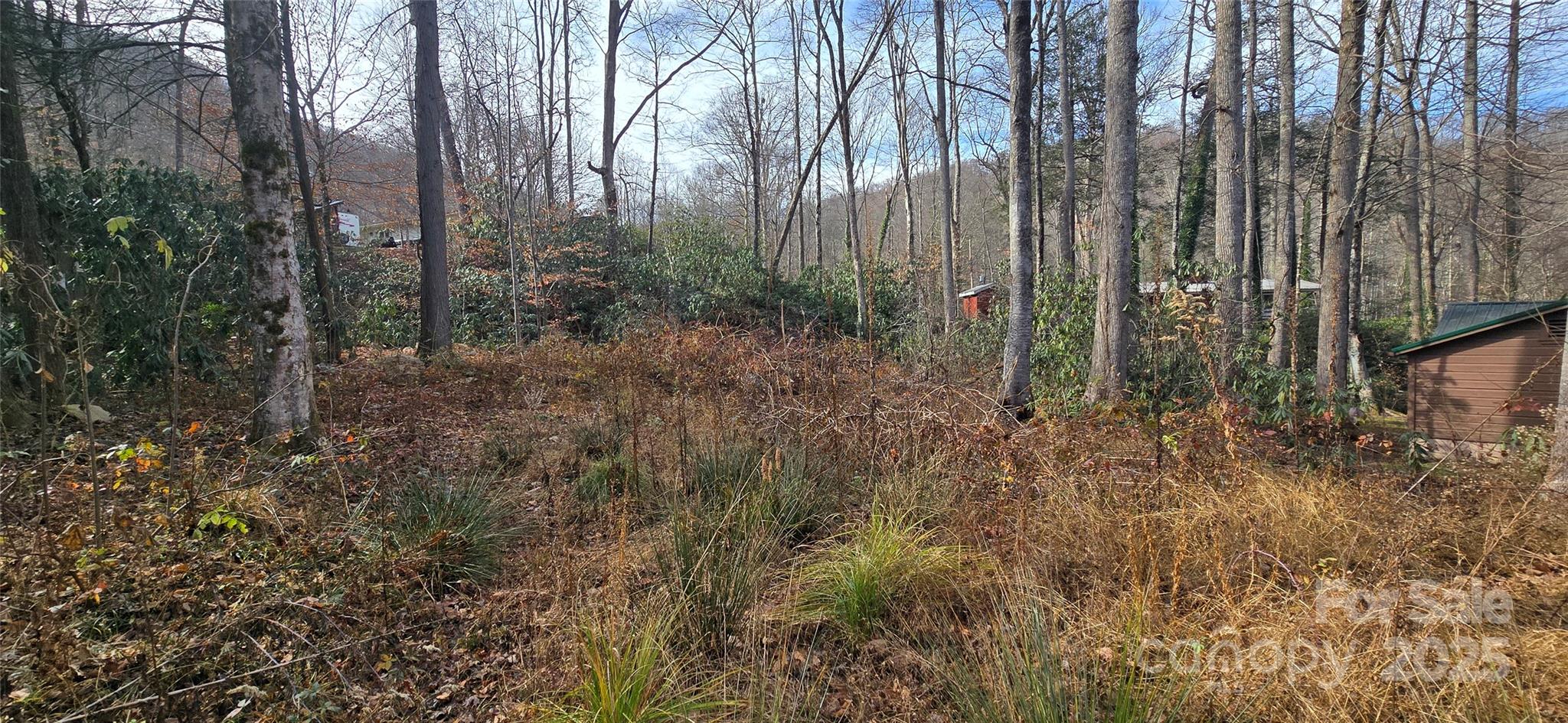 Lot 24 Twinbrook Lane Maggie Valley NC 28751