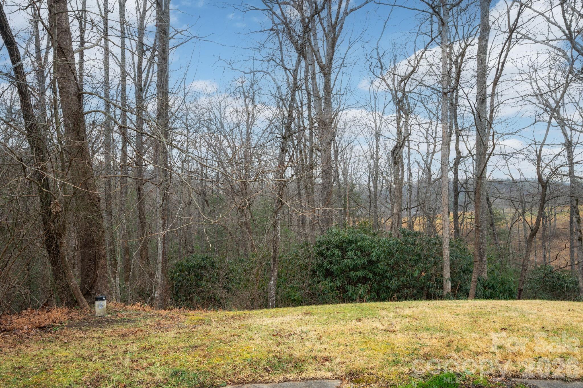 38 Gollum Drive Fairview NC 28730