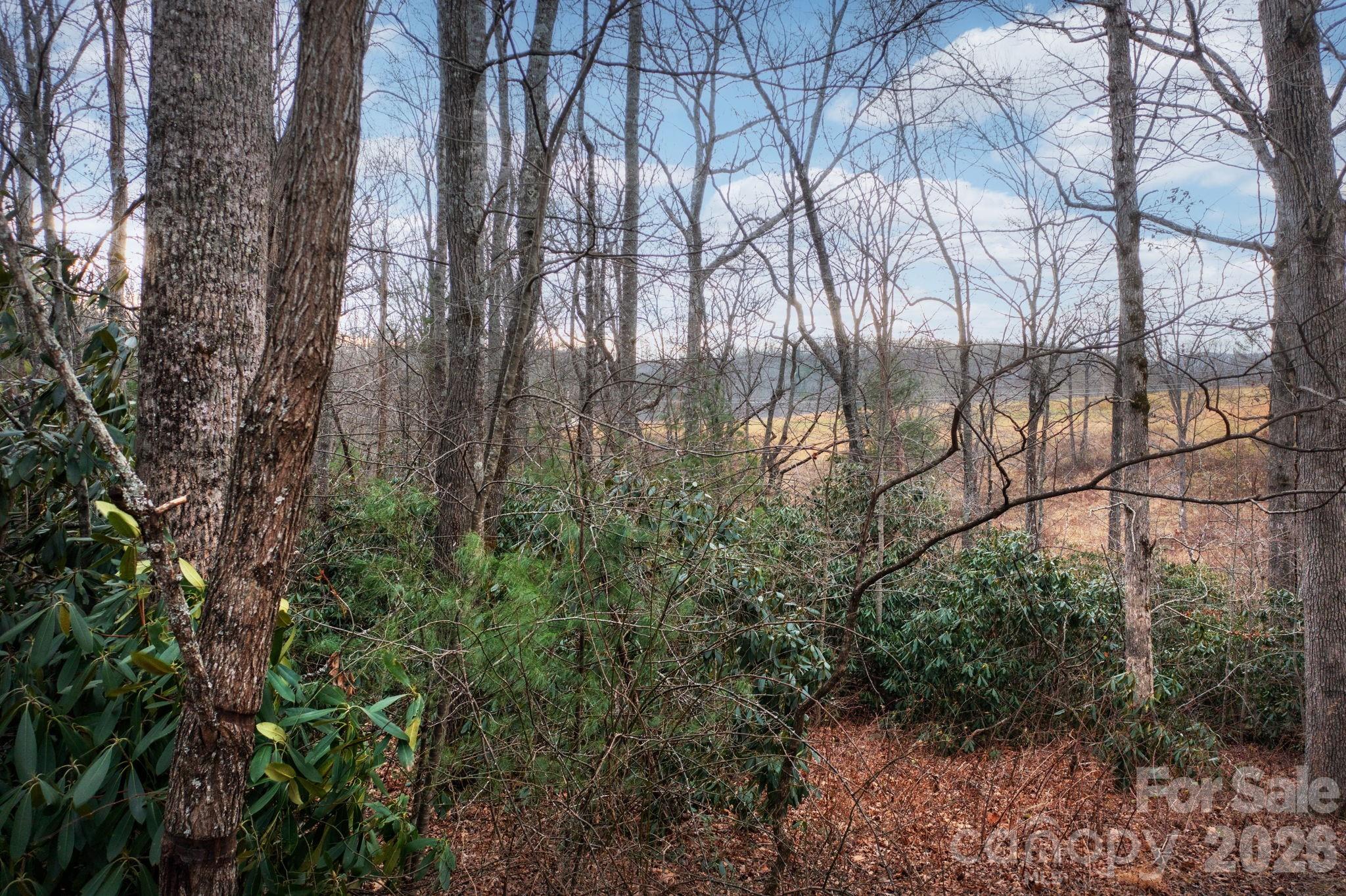 38 Gollum Drive Fairview NC 28730