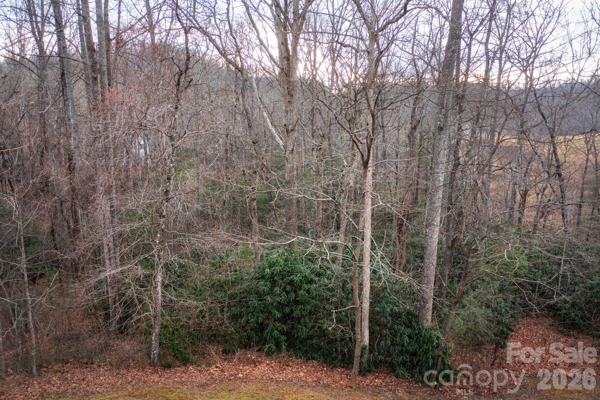 38 Gollum Drive Fairview NC 28730