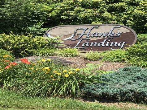 38 Hawks Landing Weaverville NC 28787