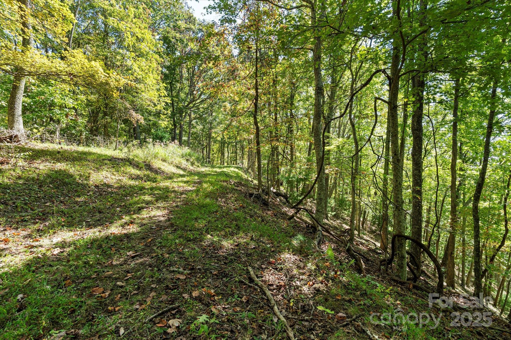 1623 Ammons Branch Road Marshall NC 28753