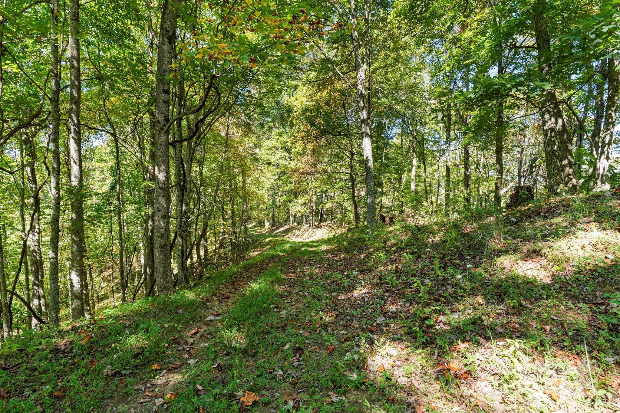 1623 Ammons Branch Road Marshall NC 28753