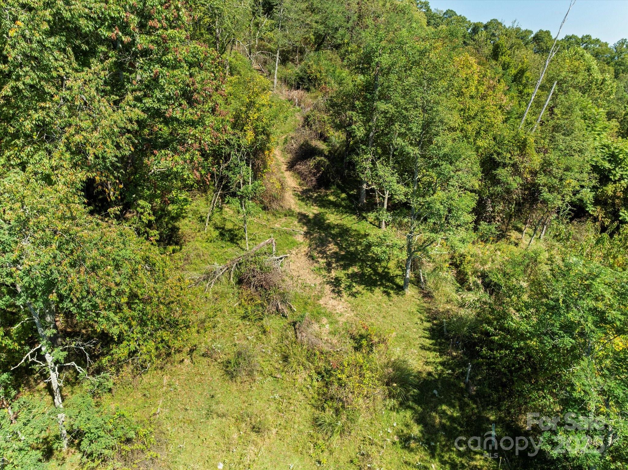 1623 Ammons Branch Road Marshall NC 28753