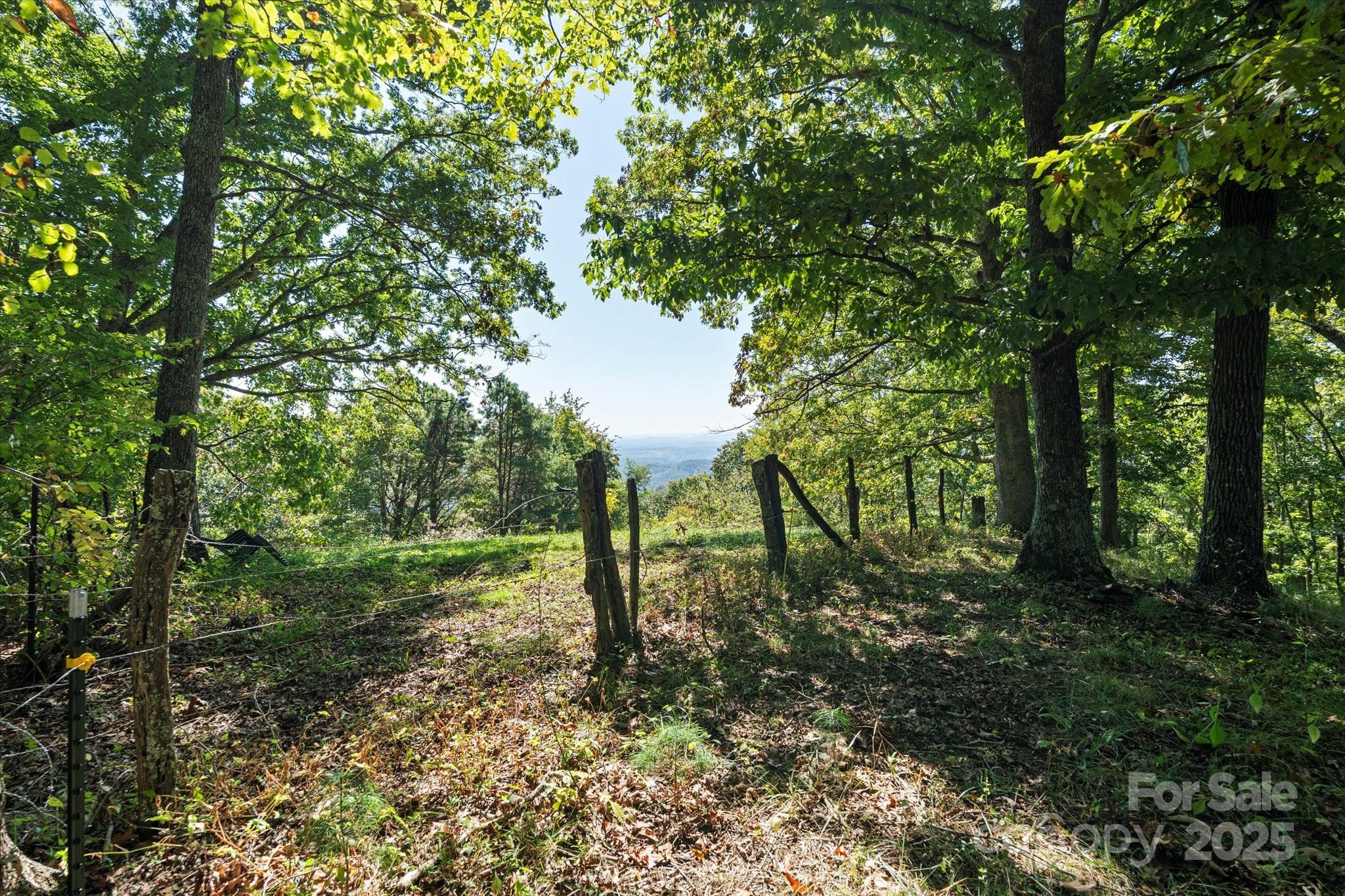 1623 Ammons Branch Road Marshall NC 28753