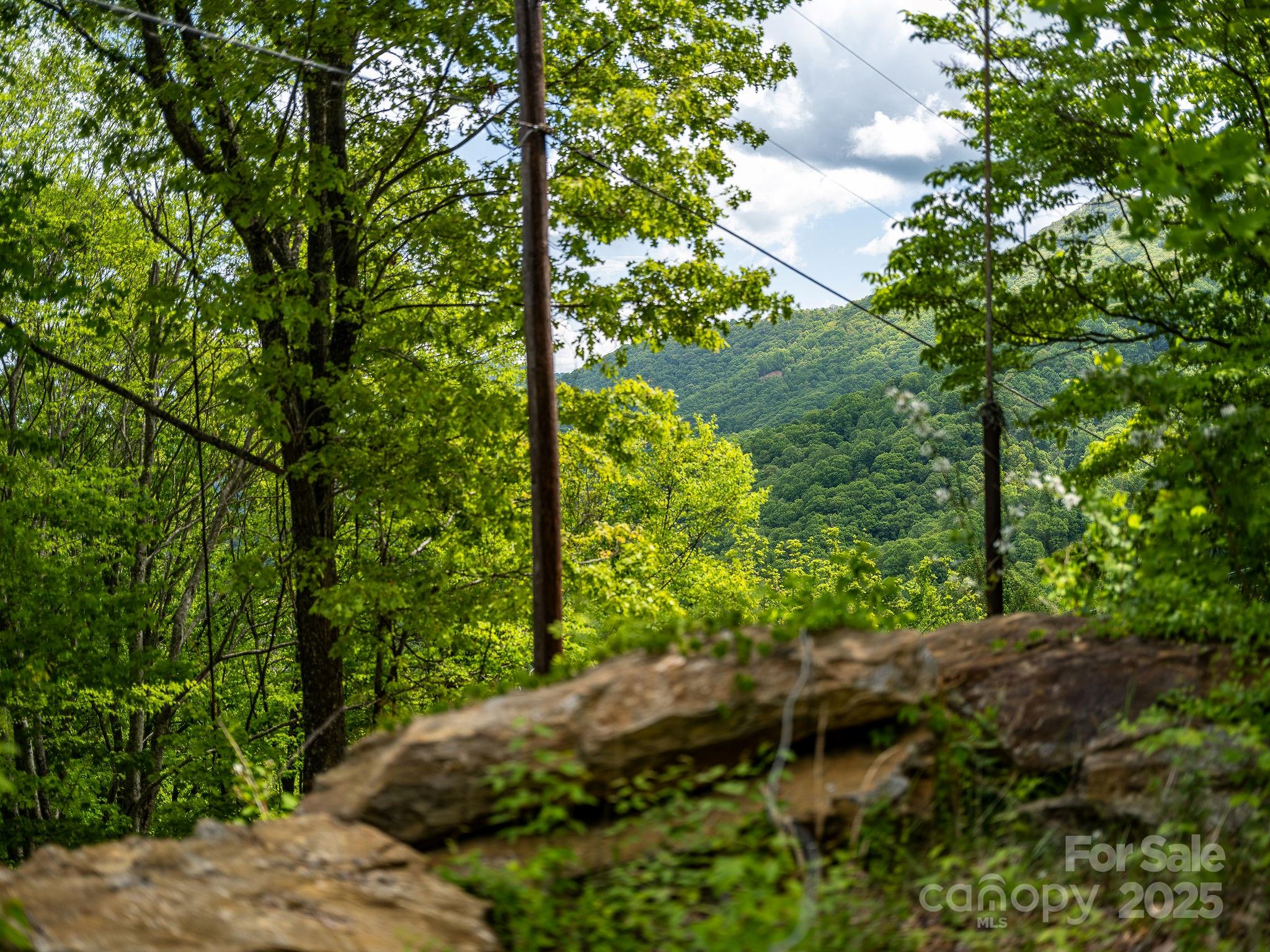 1851 Newfound Road Leicester NC 28748