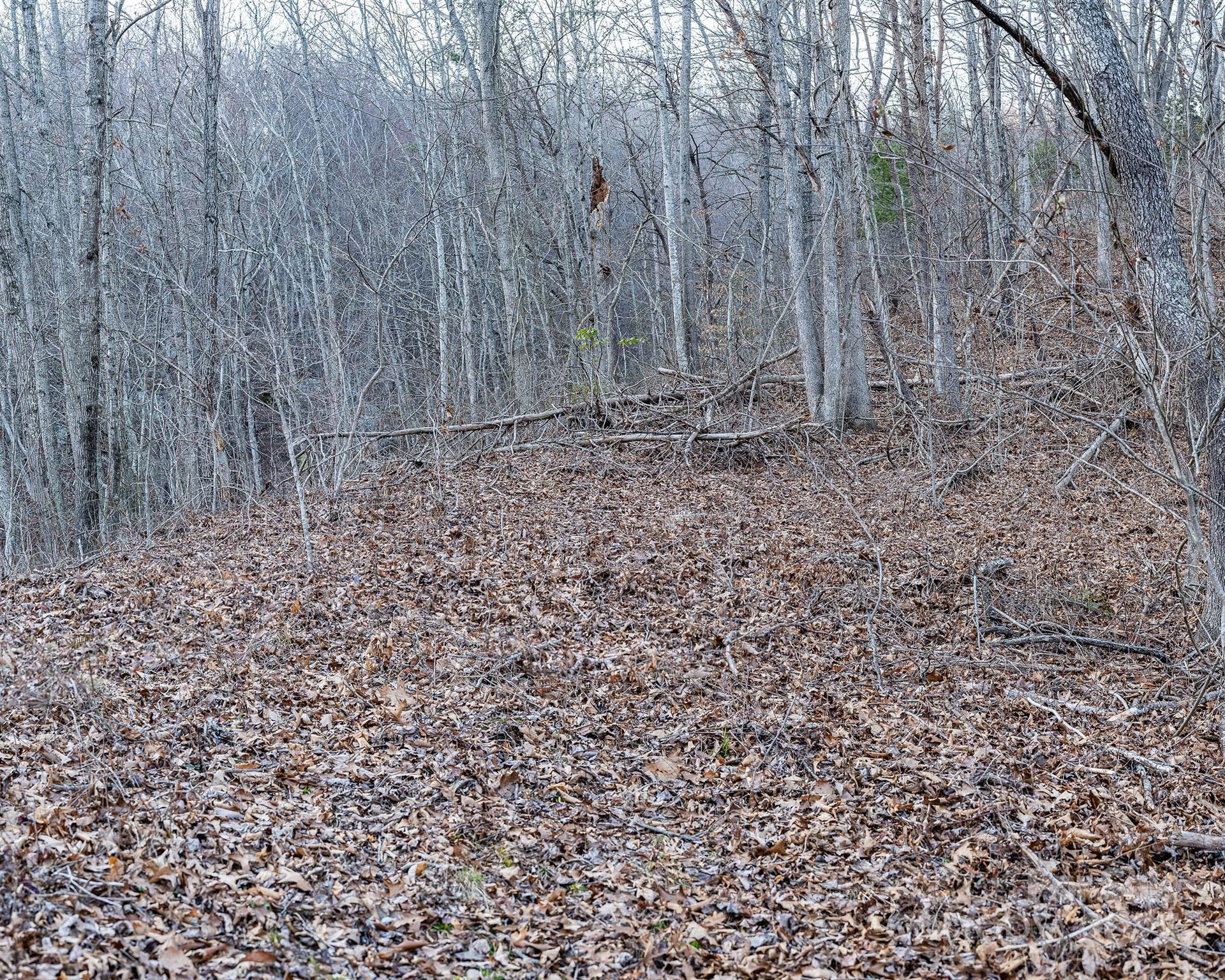 1851 Newfound Road Leicester NC 28748