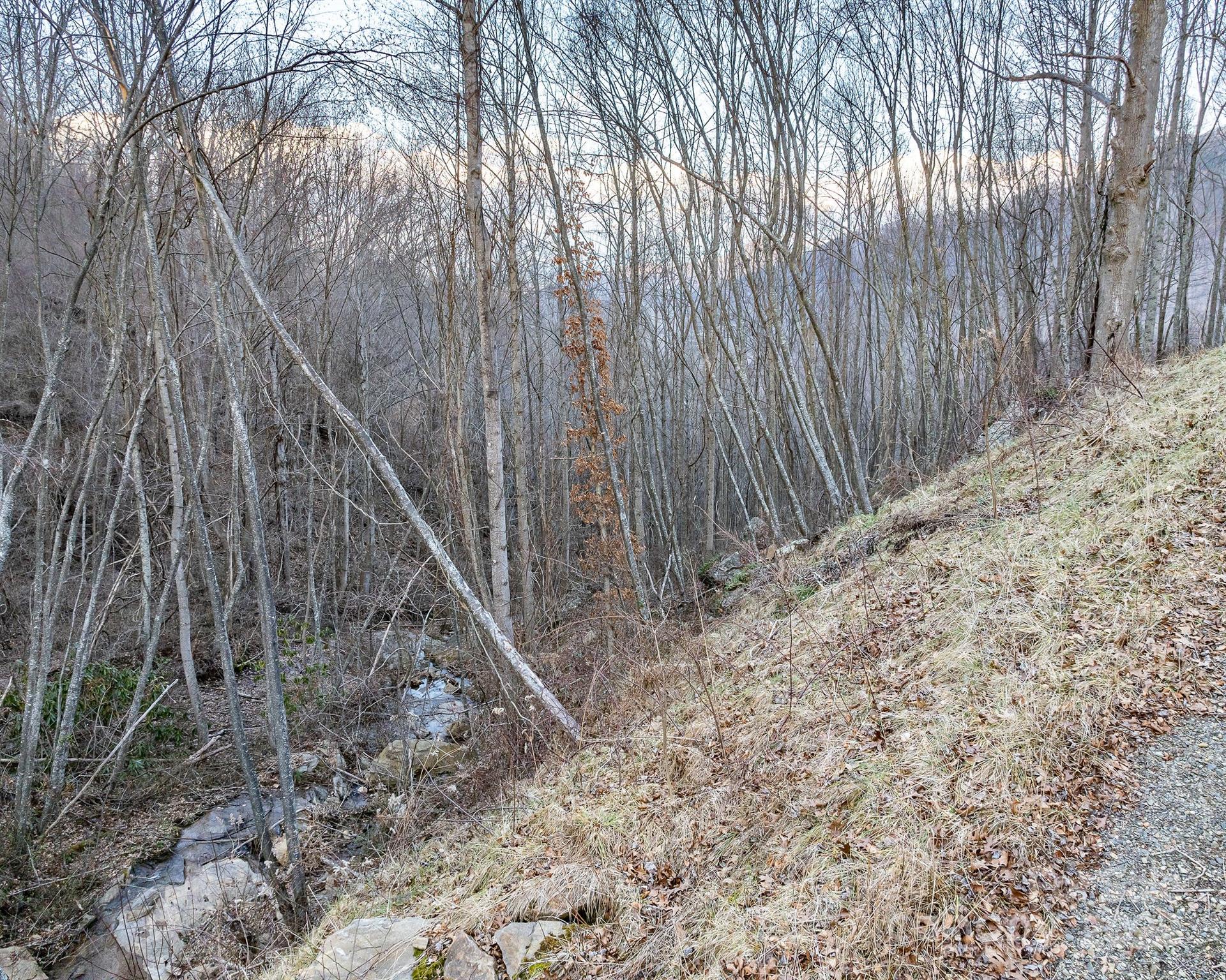 1851 Newfound Road Leicester NC 28748