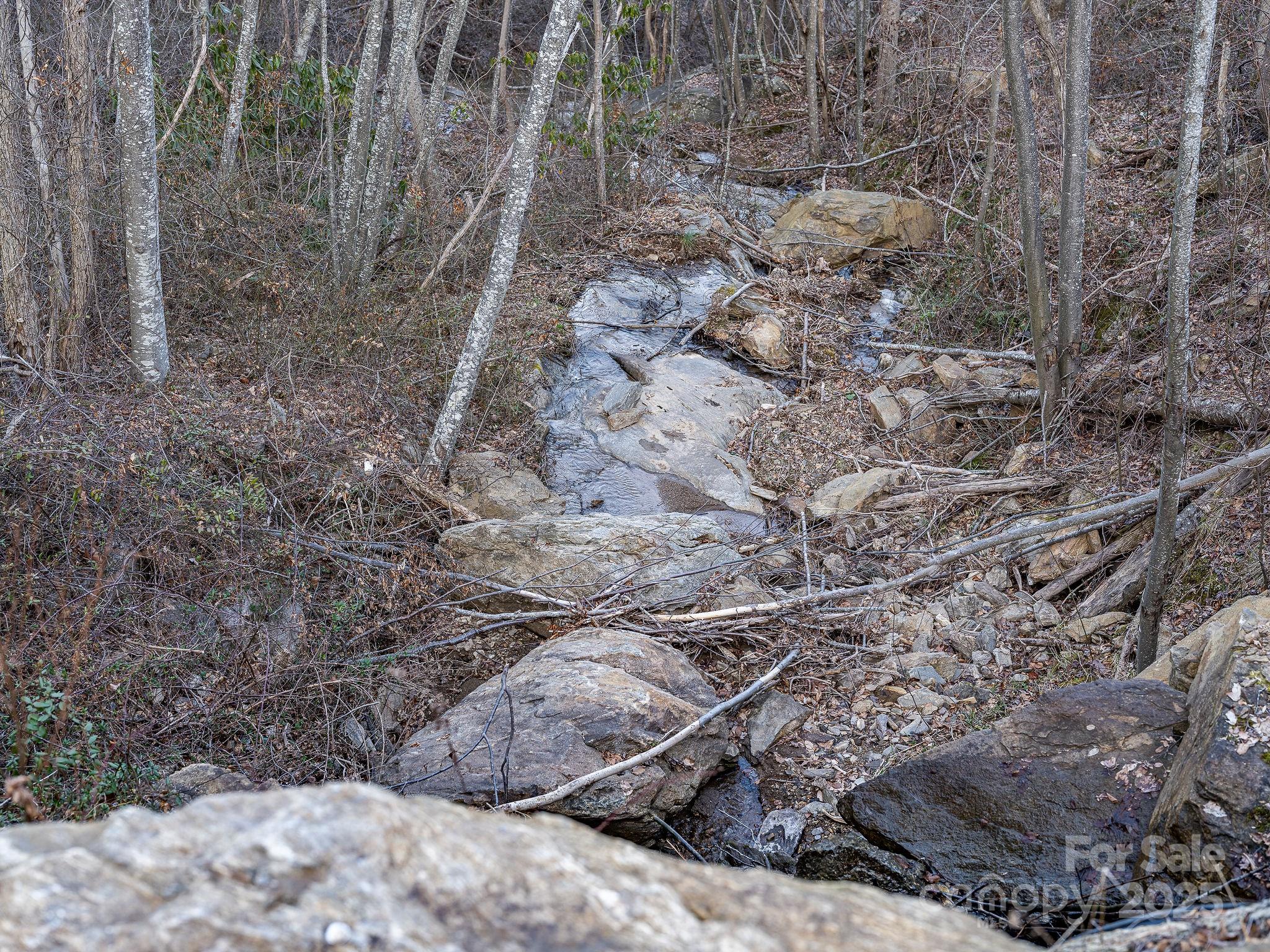 1851 Newfound Road Leicester NC 28748