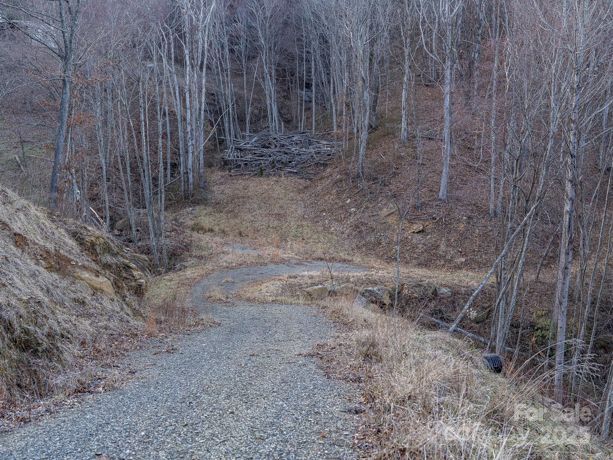 1851 Newfound Road Leicester NC 28748