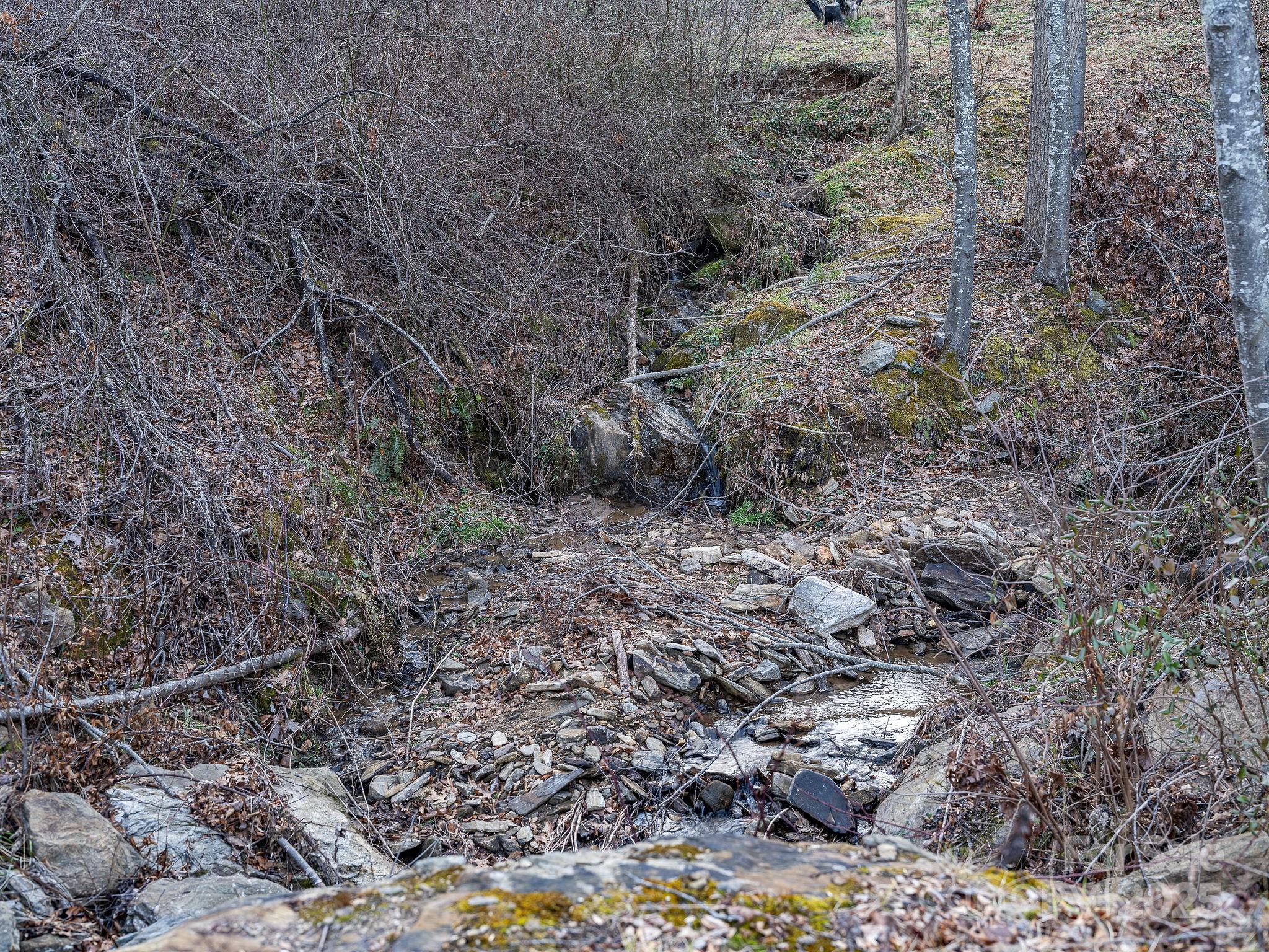 1851 Newfound Road Leicester NC 28748