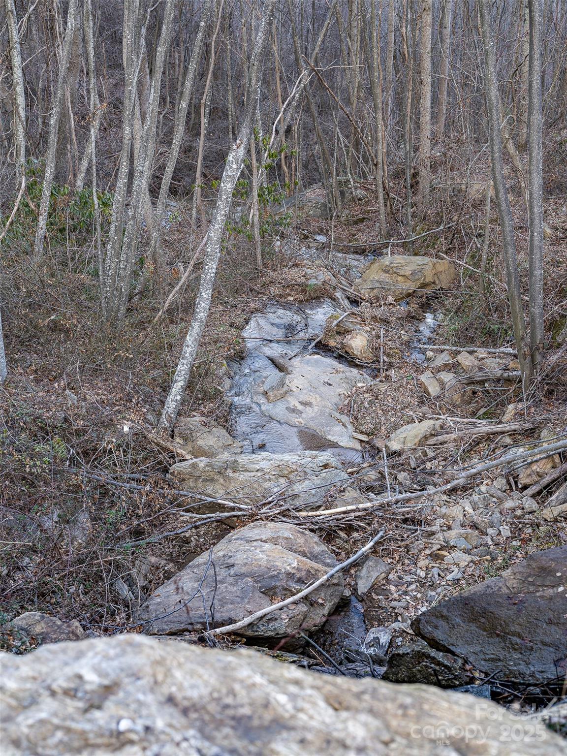 1851 Newfound Road Leicester NC 28748