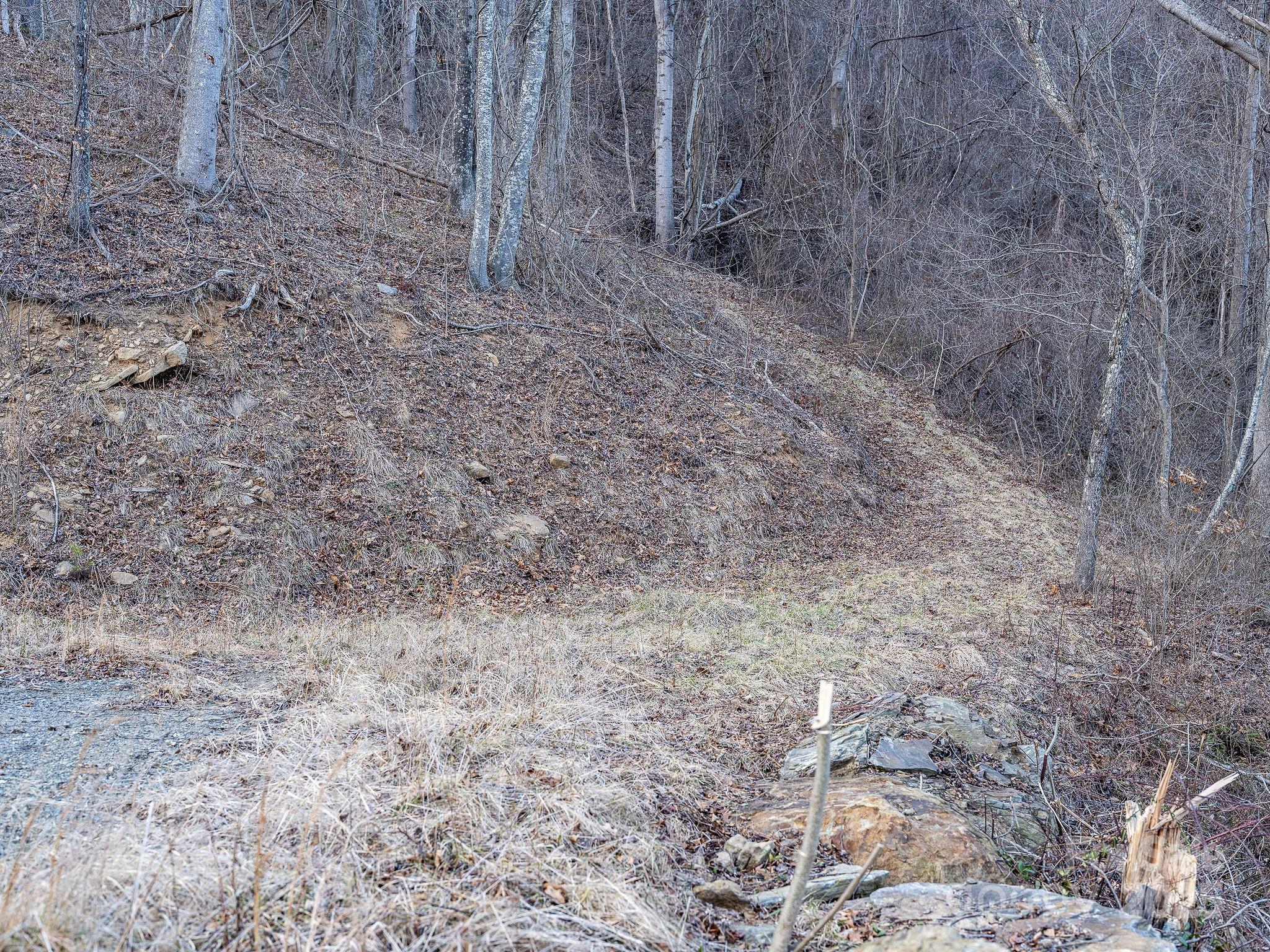 1851 Newfound Road Leicester NC 28748