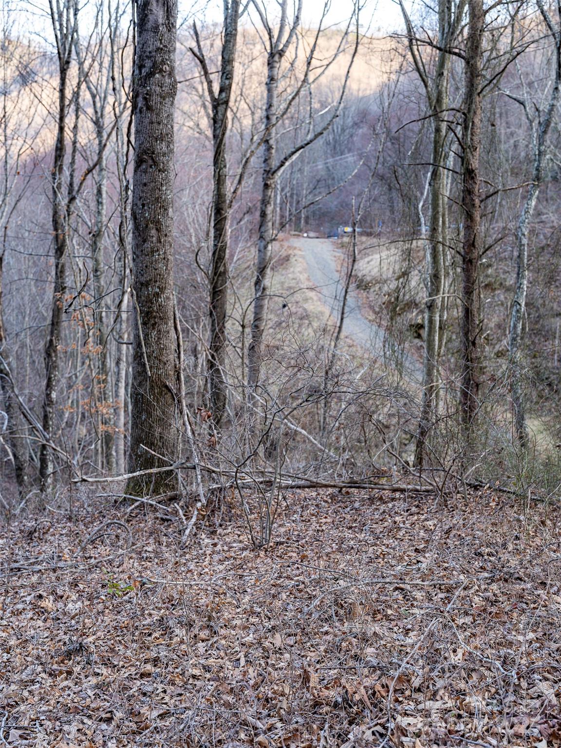 1851 Newfound Road Leicester NC 28748