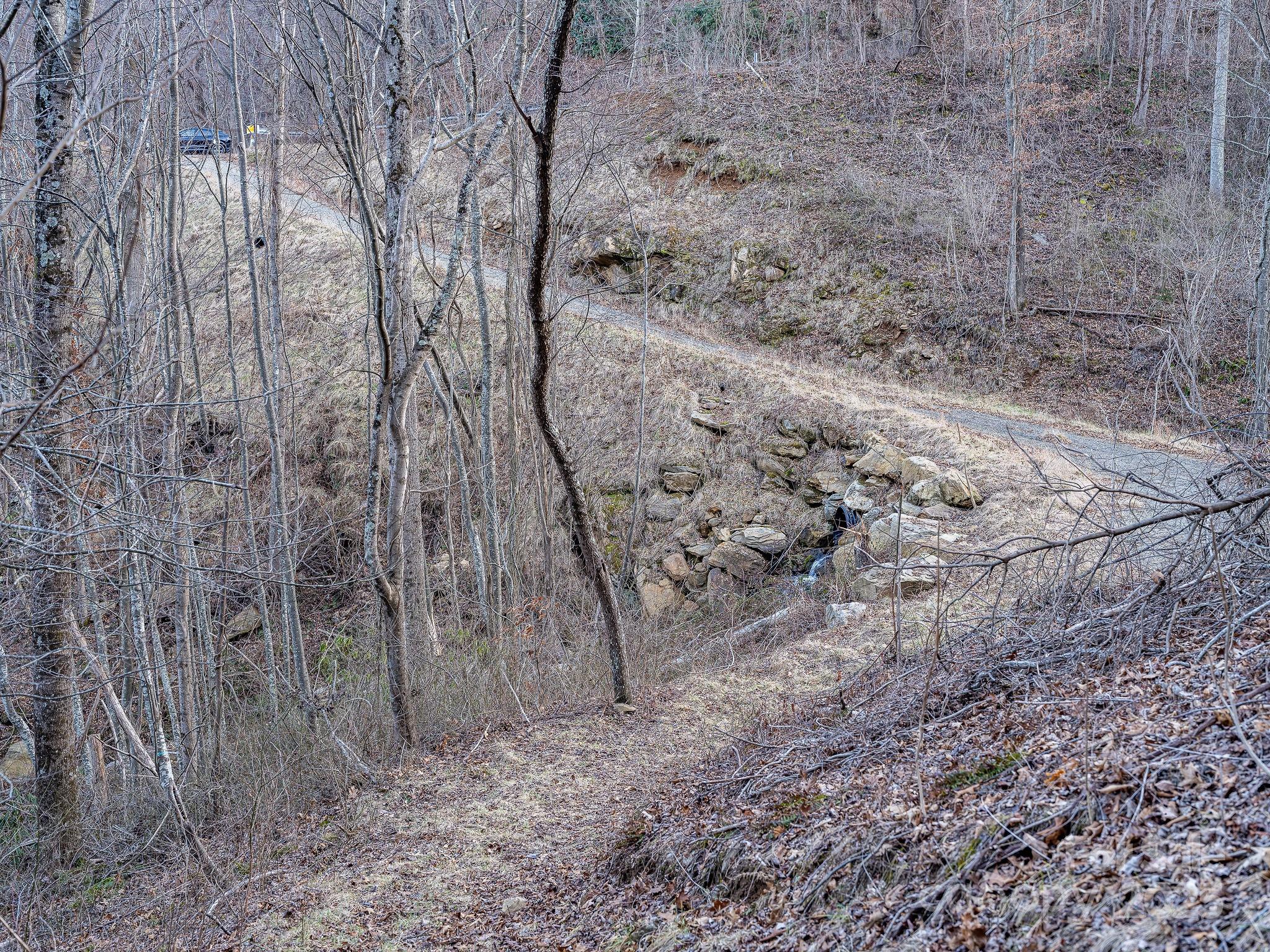 1851 Newfound Road Leicester NC 28748