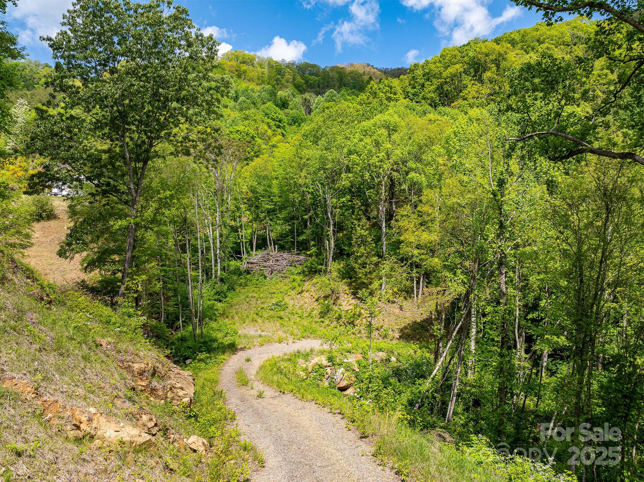1851 Newfound Road Leicester NC 28748