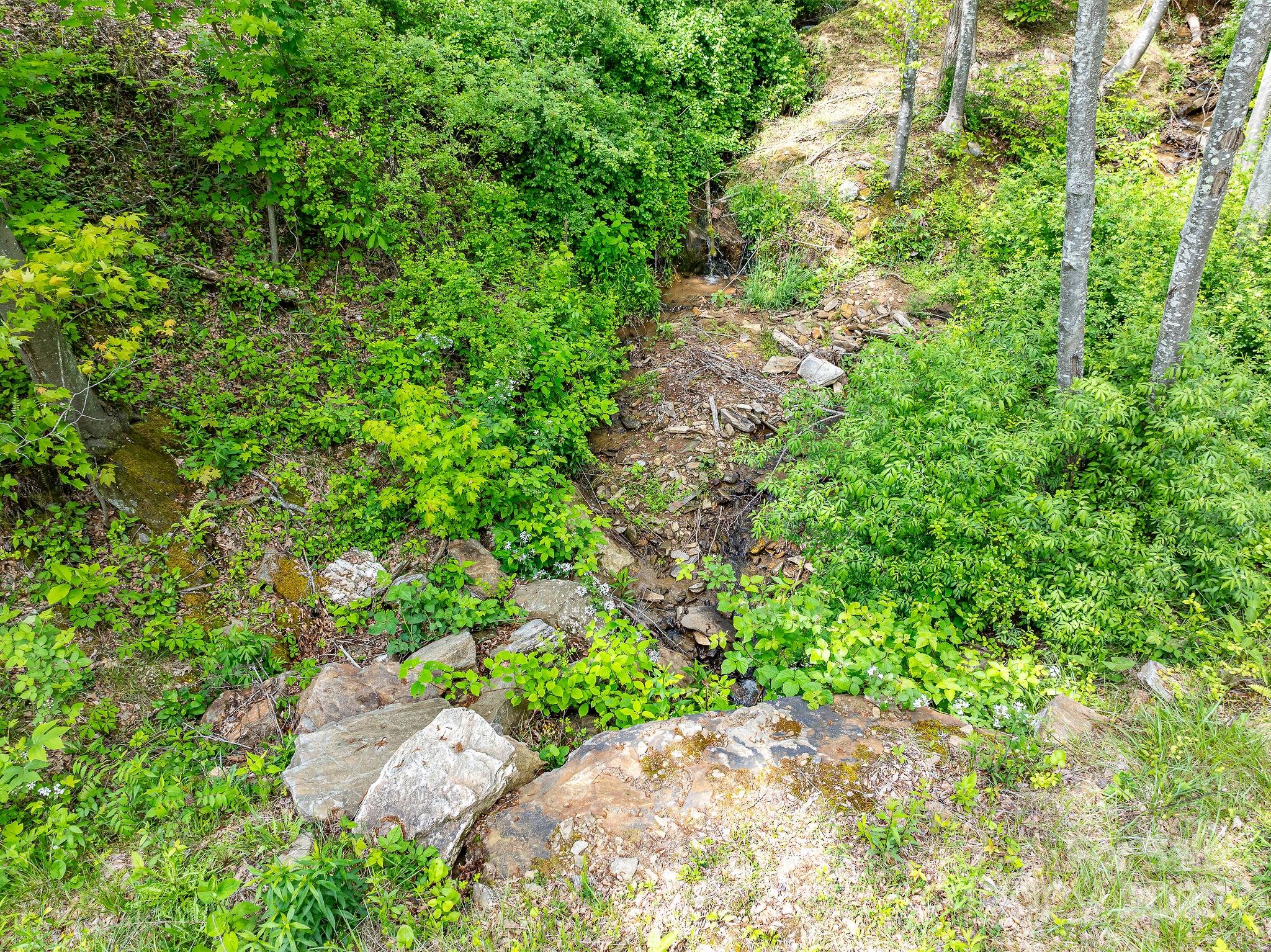 1851 Newfound Road Leicester NC 28748