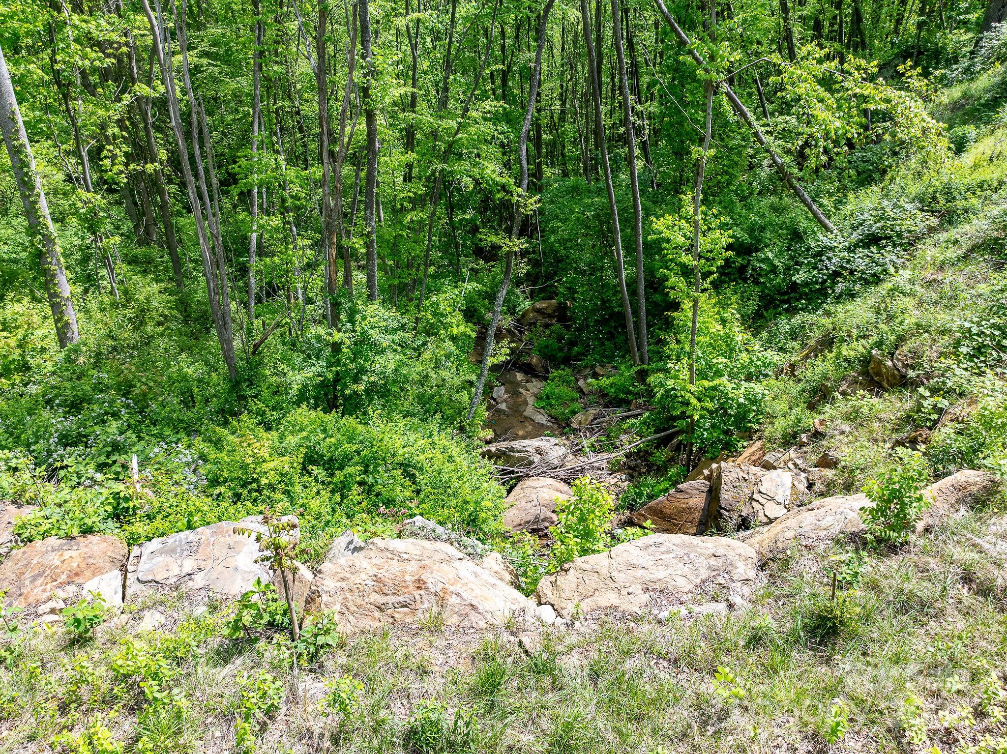 1851 Newfound Road Leicester NC 28748