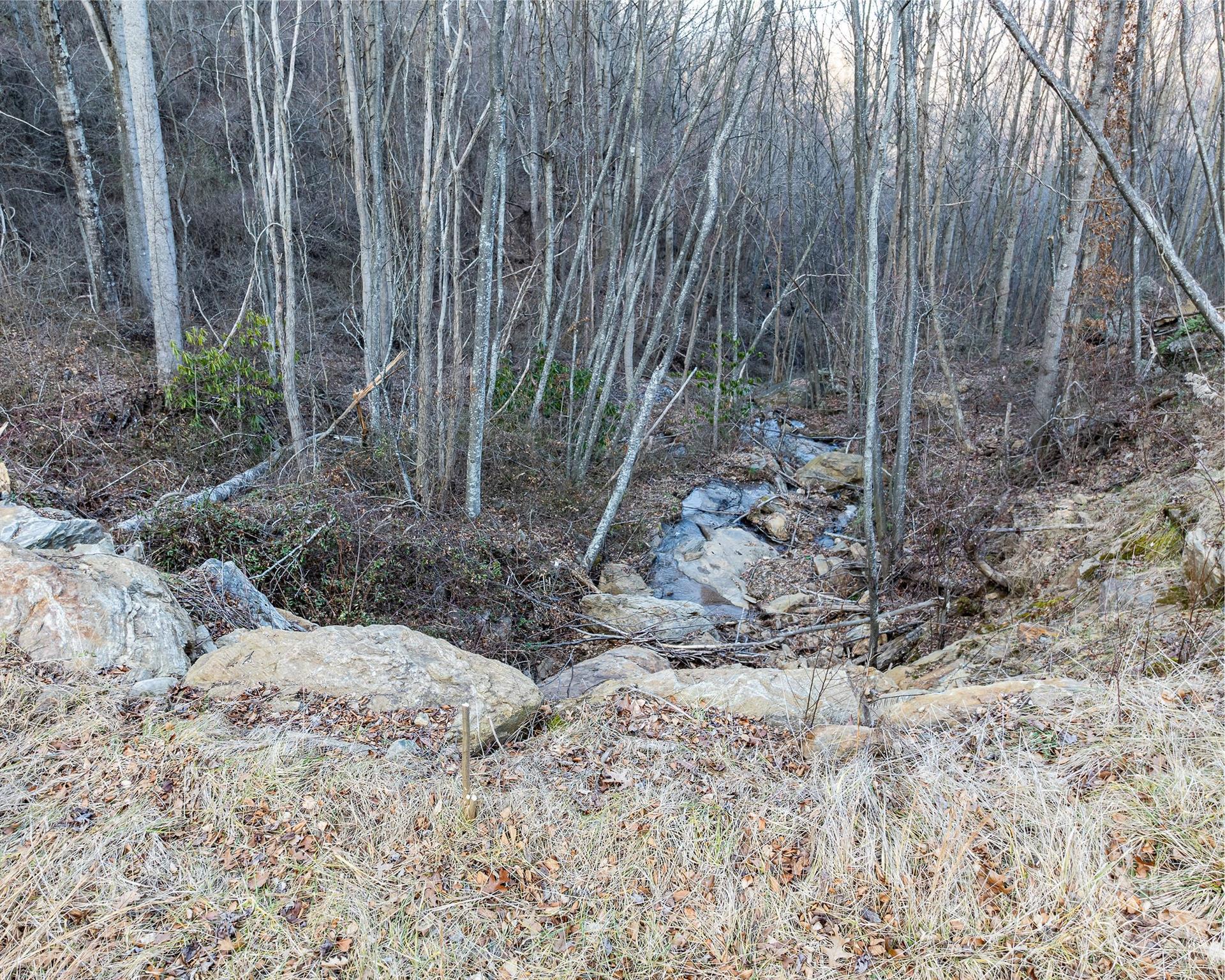 1851 Newfound Road Leicester NC 28748