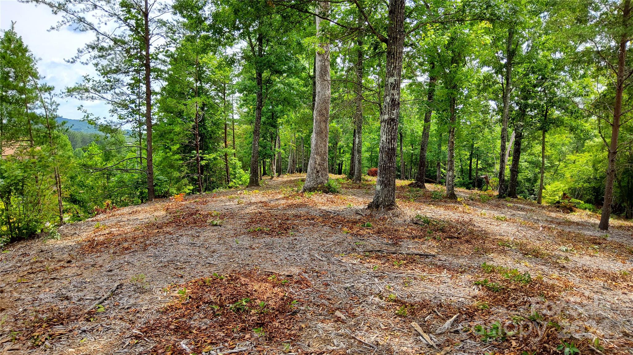 00 Wambli Pass Lake Lure NC 28746