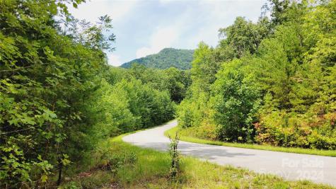 00 Wambli Pass Lake Lure NC 28746