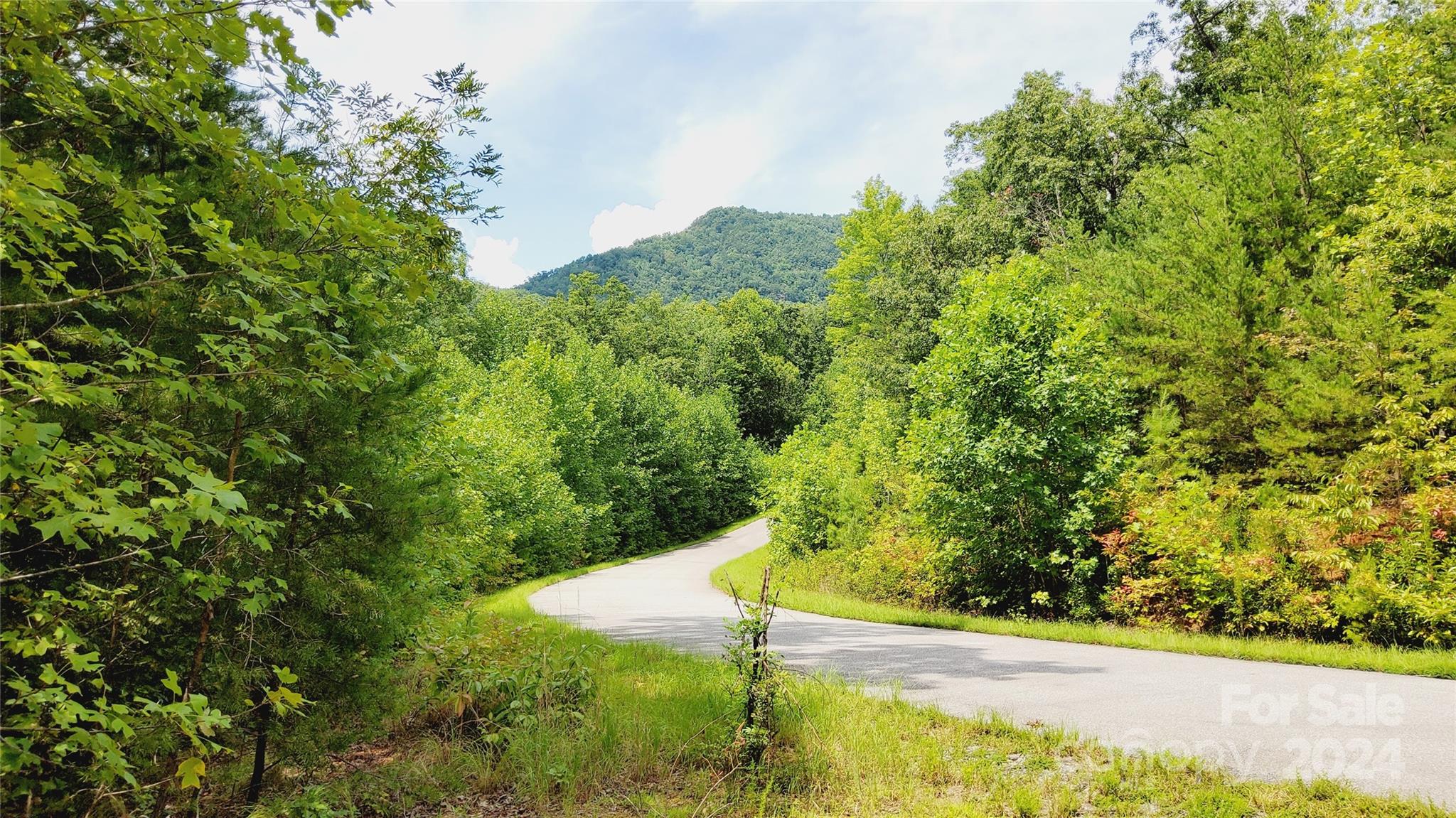 00 Wambli Pass Lake Lure NC 28746