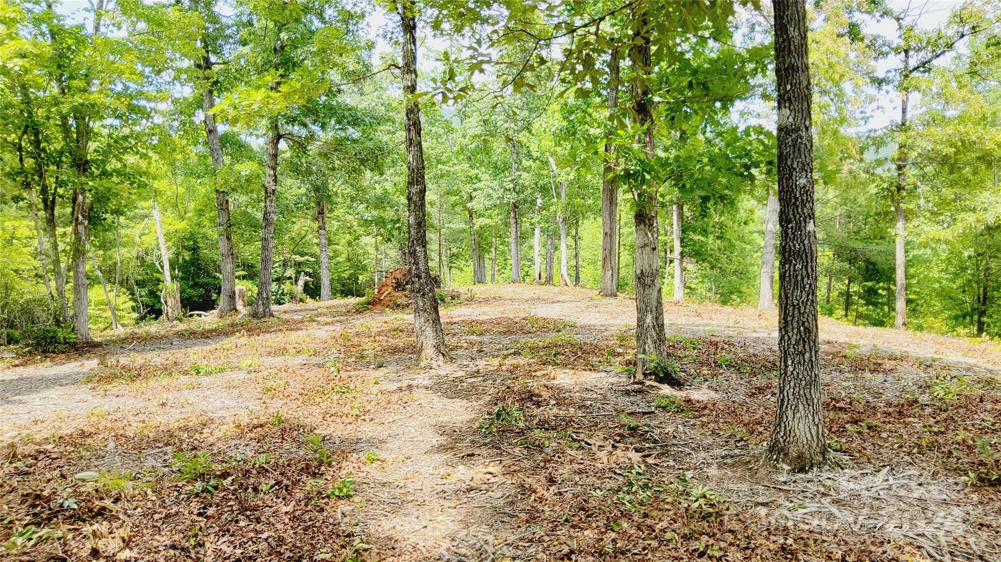 00 Wambli Pass Lake Lure NC 28746