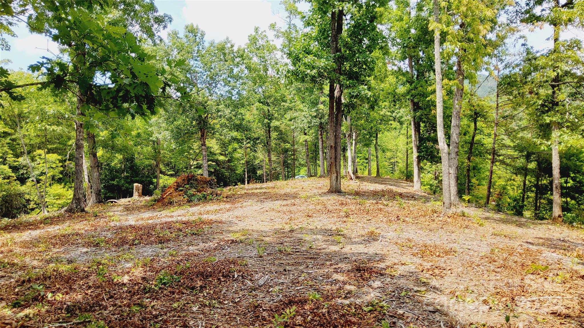 00 Wambli Pass Lake Lure NC 28746