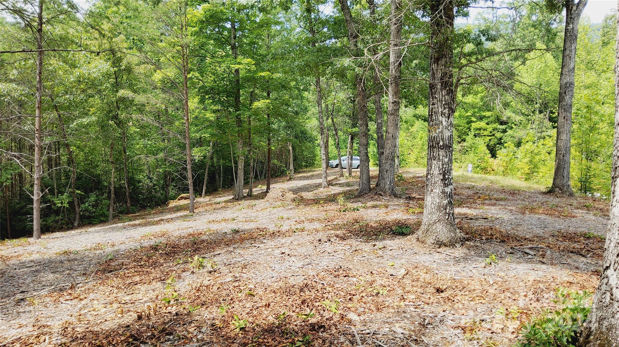 00 Wambli Pass Lake Lure NC 28746