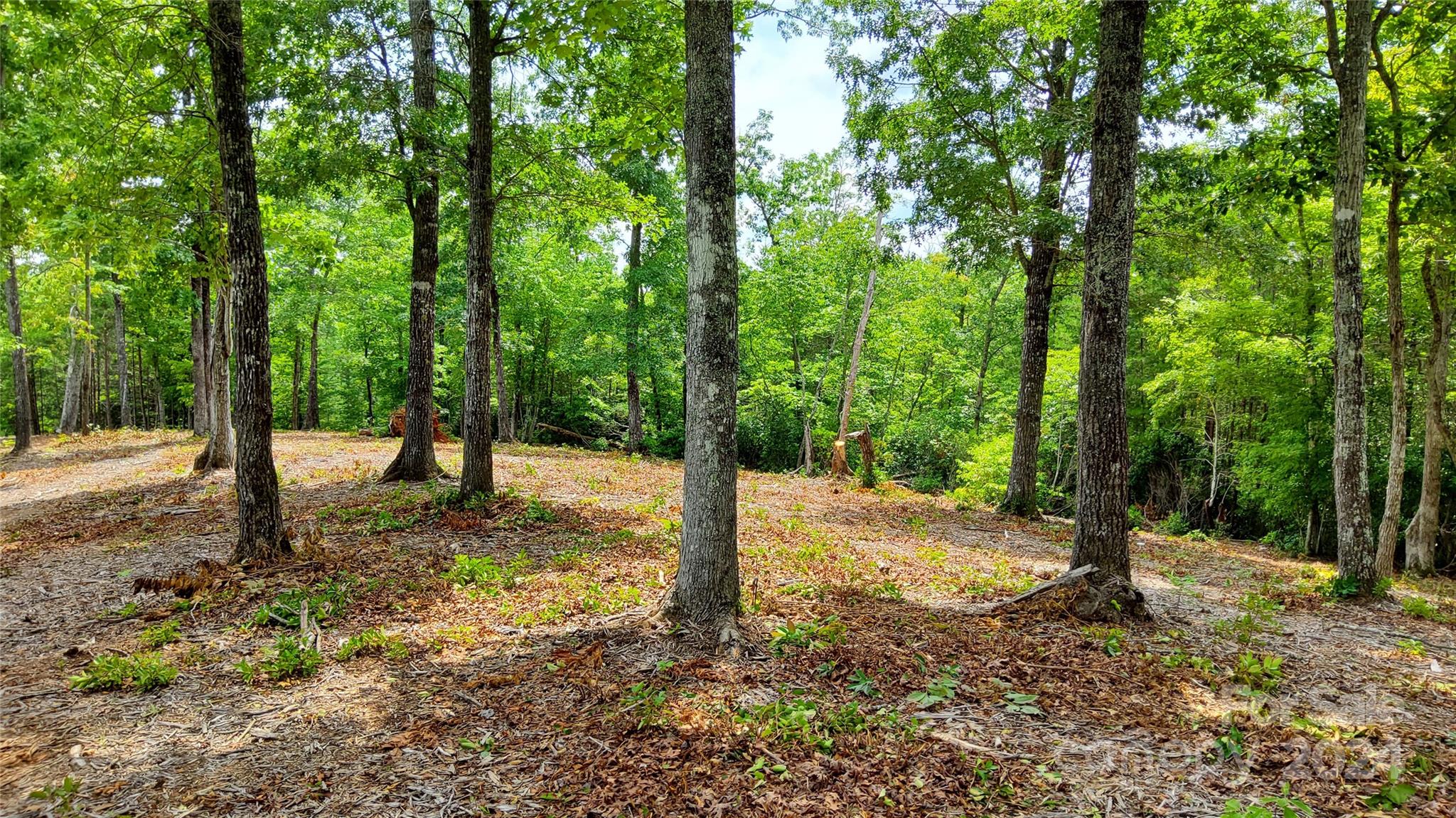 00 Wambli Pass Lake Lure NC 28746