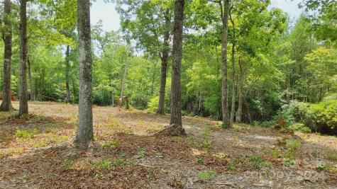 00 Wambli Pass Lake Lure NC 28746