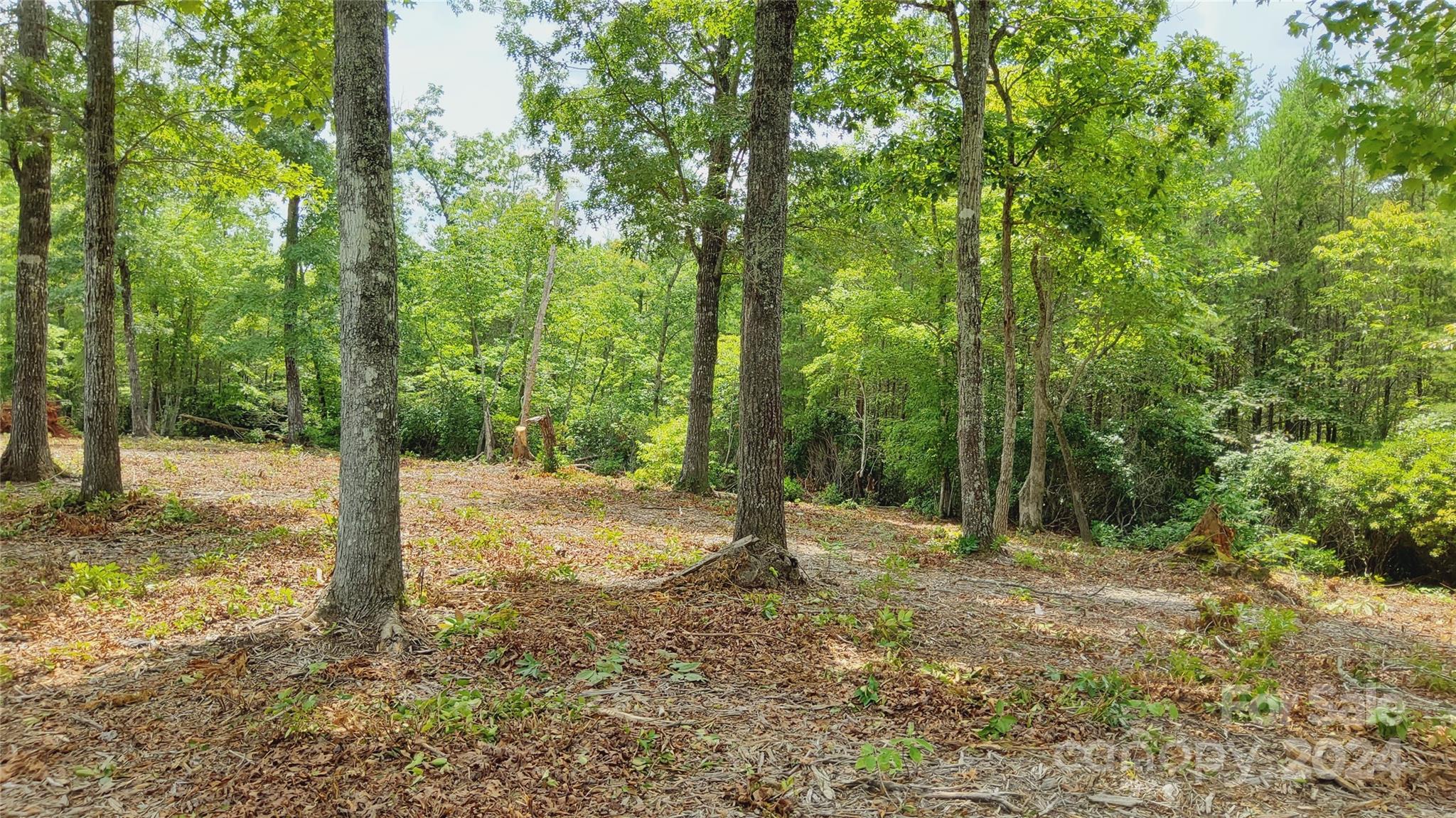 00 Wambli Pass Lake Lure NC 28746