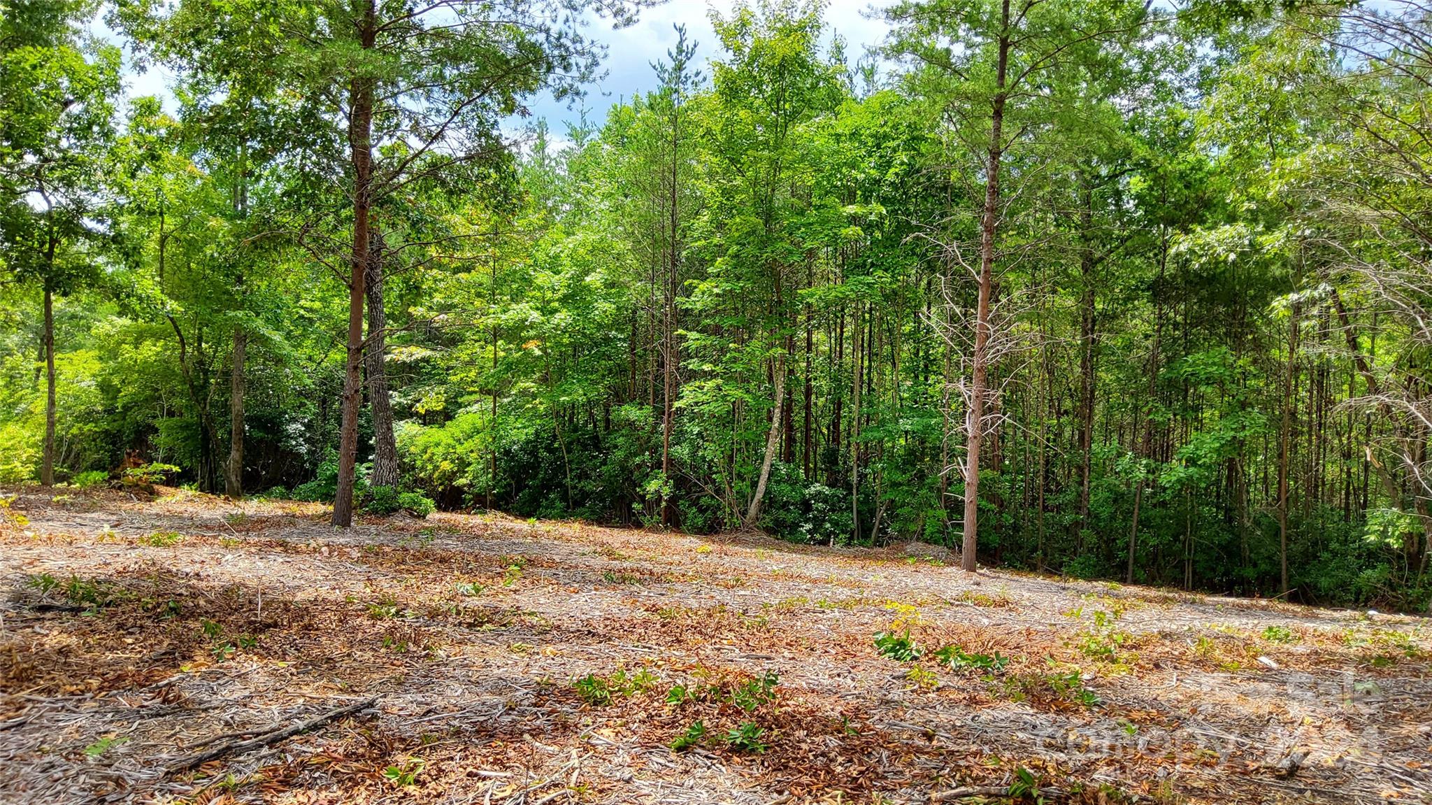 00 Wambli Pass Lake Lure NC 28746