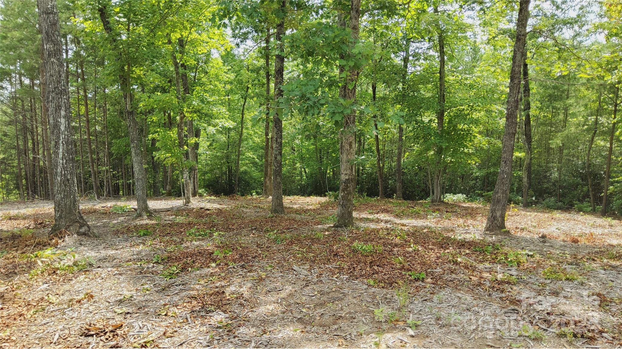 00 Wambli Pass Lake Lure NC 28746
