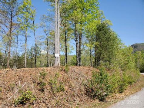 00 Wambli Pass Lake Lure NC 28746