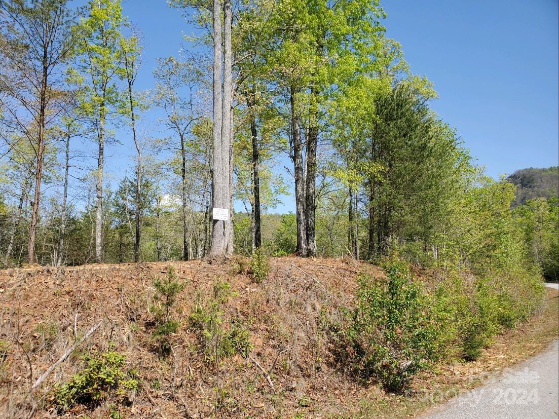 00 Wambli Pass Lake Lure NC 28746