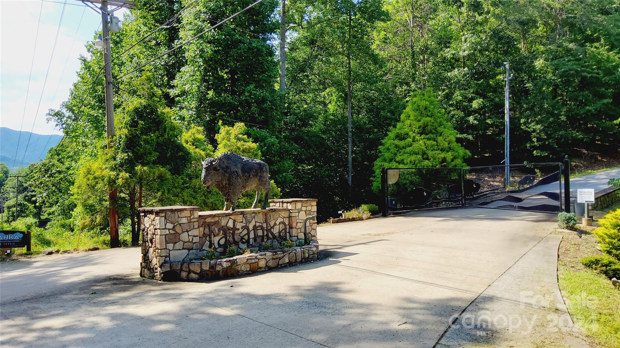 00 Wambli Pass Lake Lure NC 28746
