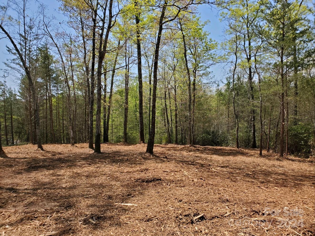 00 Wambli Pass Lake Lure NC 28746