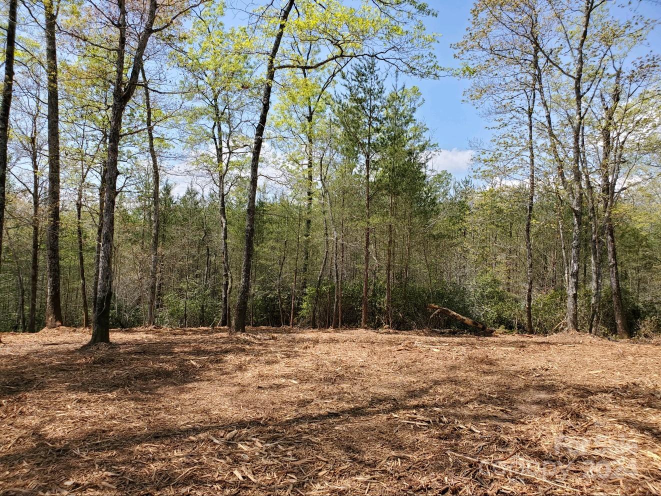 00 Wambli Pass Lake Lure NC 28746