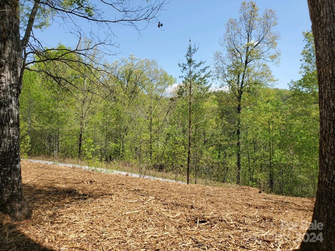 00 Wambli Pass Lake Lure NC 28746