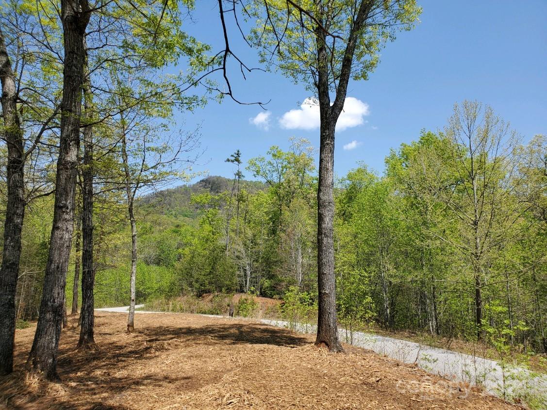 00 Wambli Pass Lake Lure NC 28746