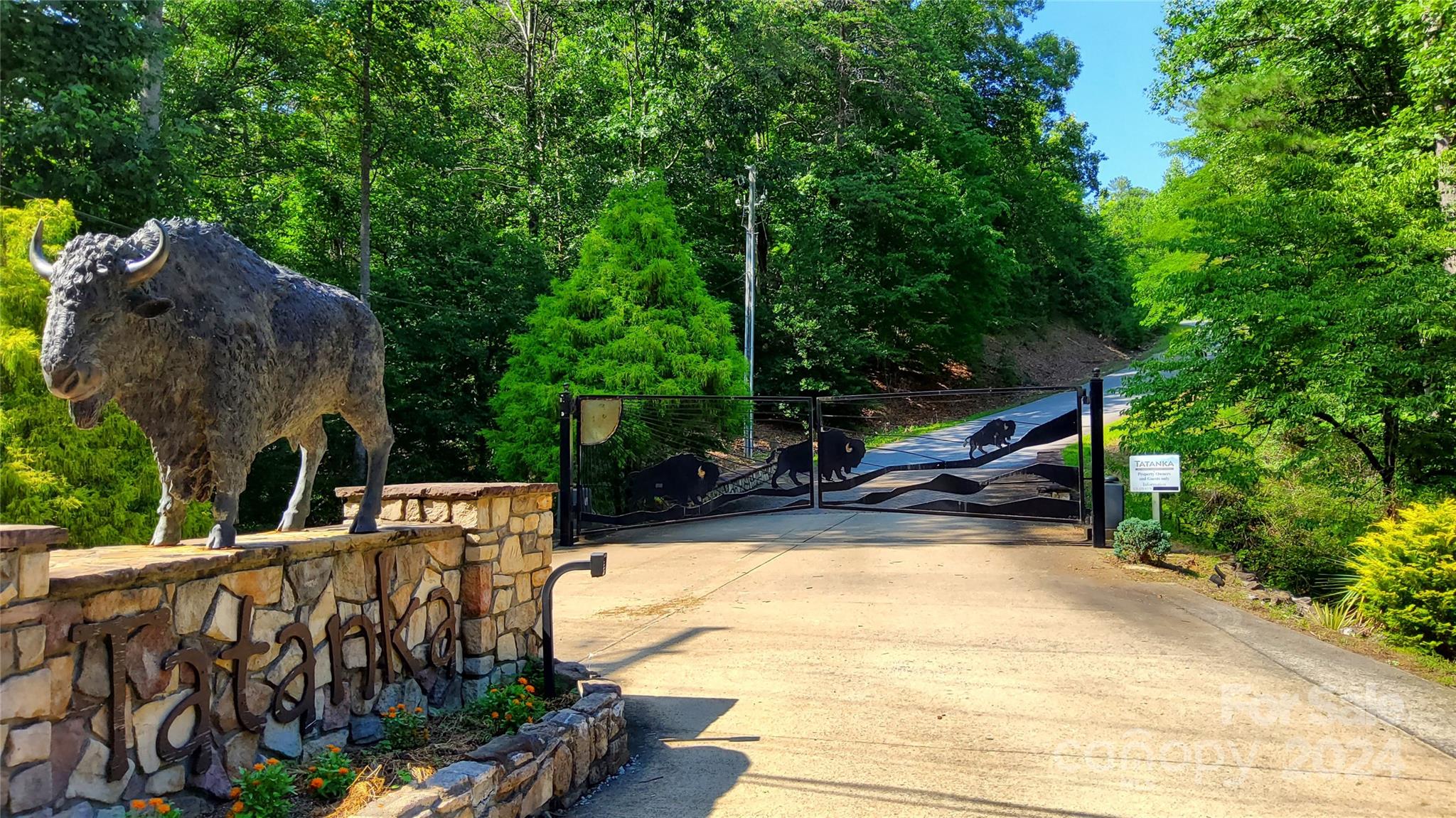 00 Wambli Pass Lake Lure NC 28746