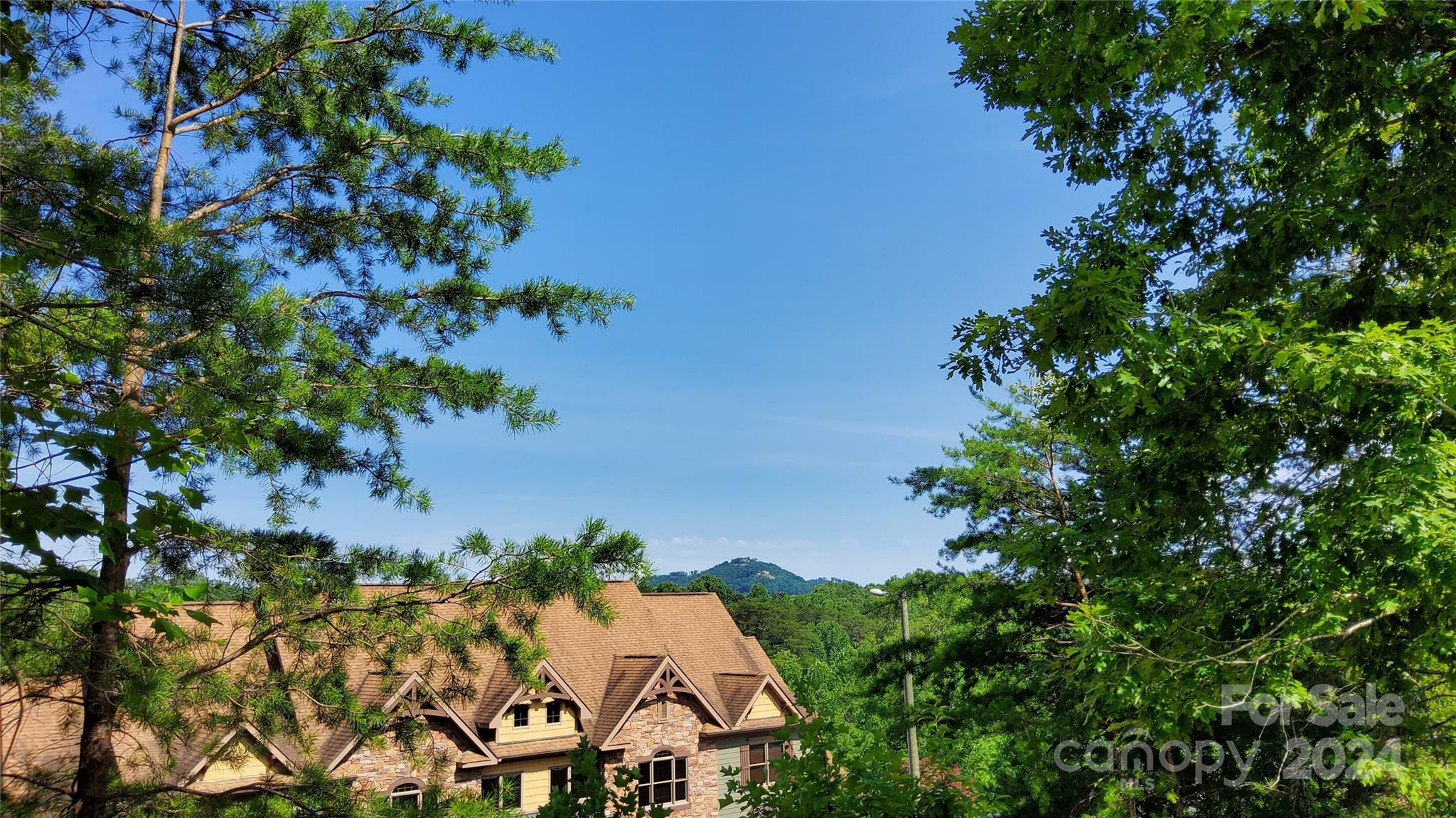 00 Wambli Pass Lake Lure NC 28746