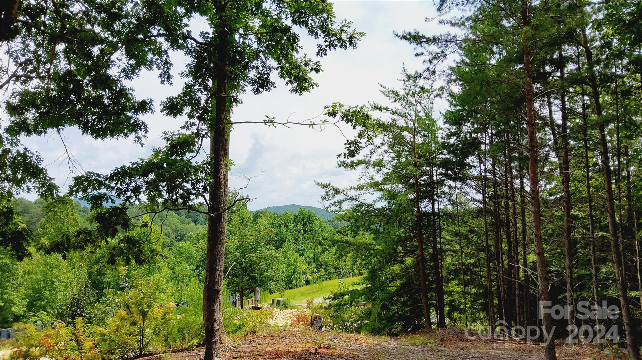 00 Wambli Pass Lake Lure NC 28746